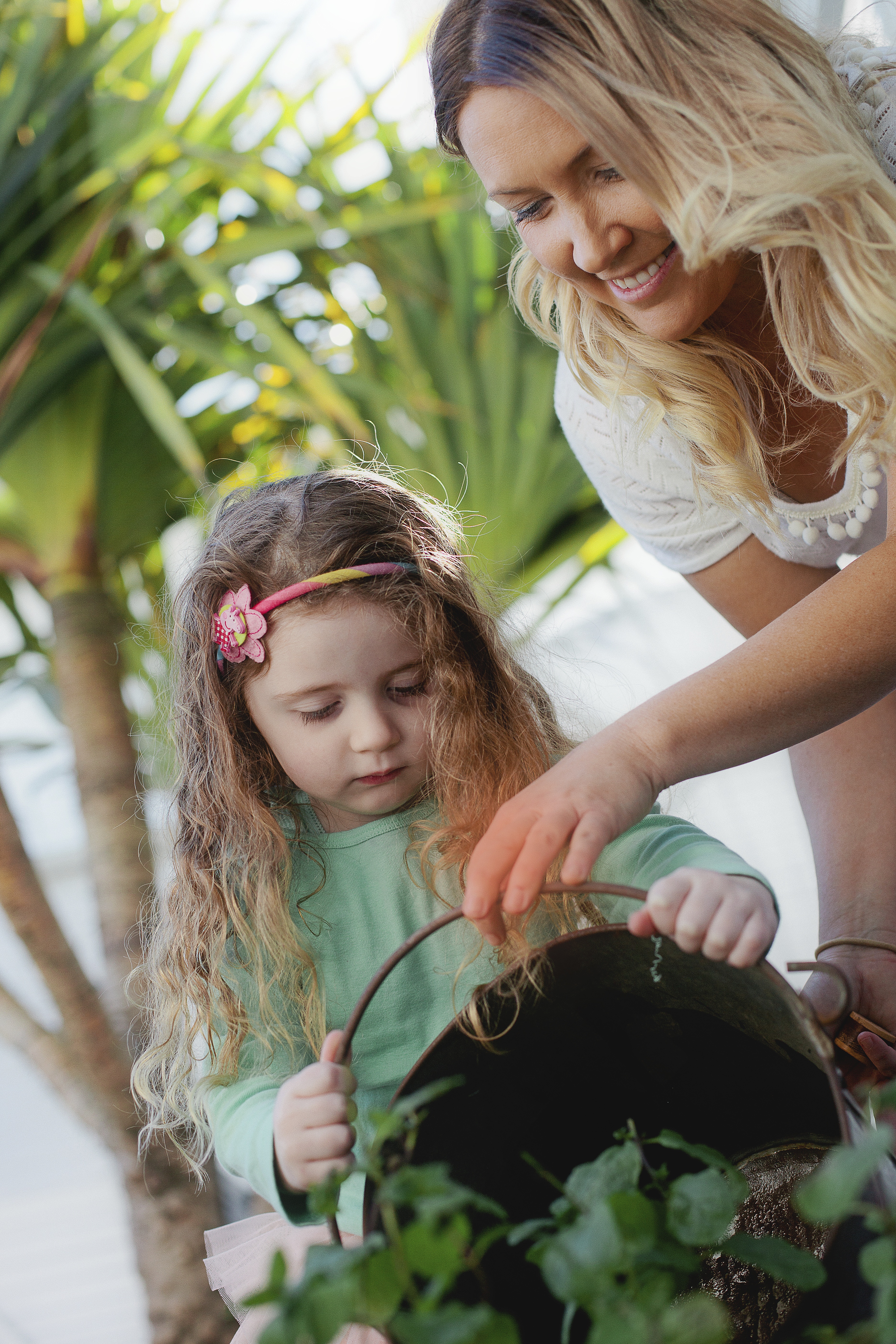 The Cottage Values Img